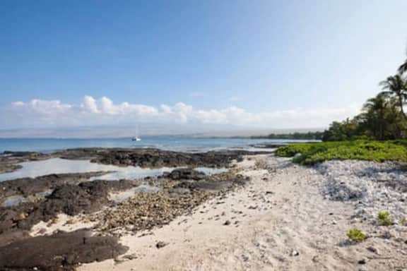Puako Tropical Garden Retreat · Puako Tropical Garden Retreat - Across from Beach! - Image 2